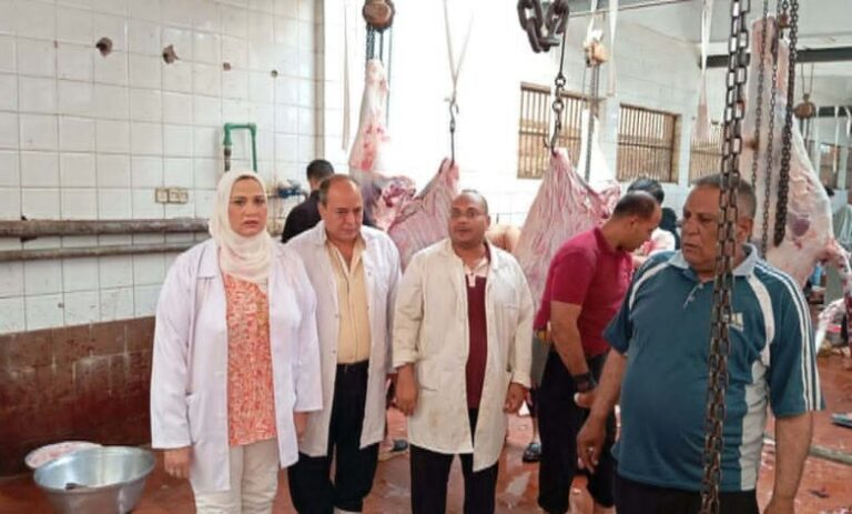 محافظ الغربية يتابع ذبح 550 أضحية بالمجازر الحكومية المجانية في أول أيام عيد الأضحى