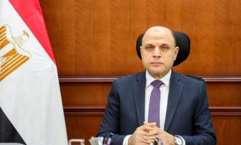 محافظ الغربية يشيد بجهود القوافل الطبية والمبادرات الرئاسية خلال عيد الأضحى